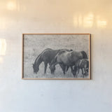 Together BW by Nathan Larson. shown as a paper print in a natural frame. Available as a archival giclee rolled canvas, fine art paper, or poster print. SKU 98711i.