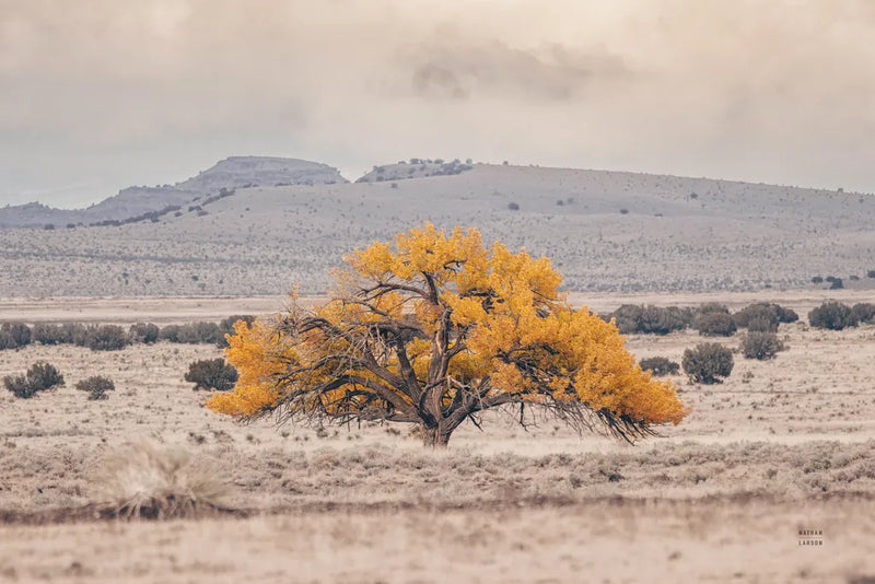 Tree of Life by Nathan Larson. SKU 96621i. Archival Giclee Fine art print for wall decor.