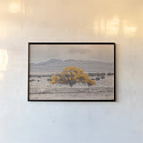 Tree of Life by Nathan Larson. shown as a paper print in a black flame. Available as a archival giclee rolled canvas, fine art paper, or poster print. SKU 96621i.