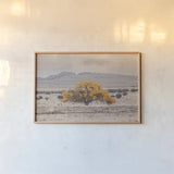 Tree of Life by Nathan Larson. shown as a paper print in a natural frame. Available as a archival giclee rolled canvas, fine art paper, or poster print. SKU 96621i.
