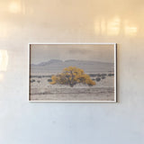 Tree of Life by Nathan Larson. shown as a paper print in a white frame. Available as a archival giclee rolled canvas, fine art paper, or poster print. SKU 96621i.