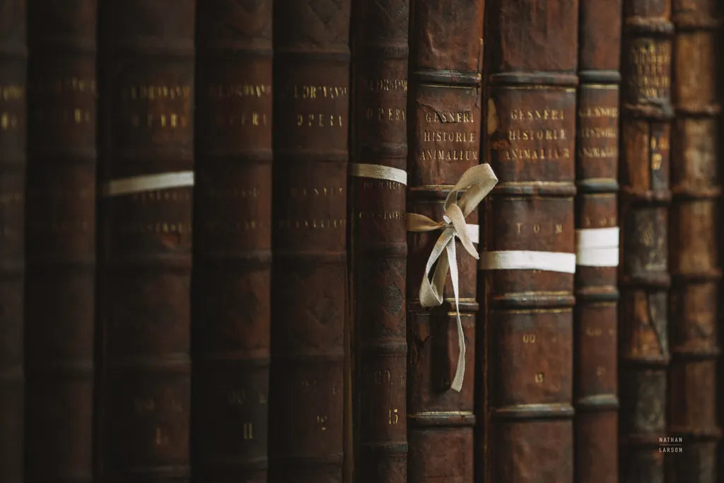 Trinity I by Nathan Larson. SKU 101212i. Archival Giclee Fine art print for wall decor.