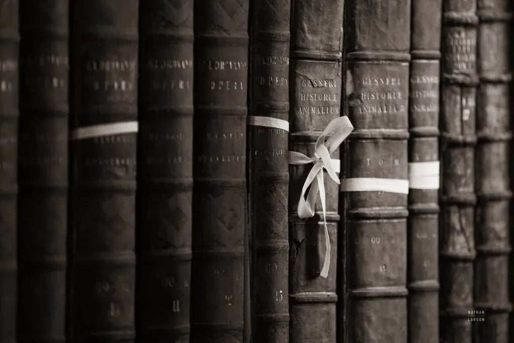 Trinity I BW by Nathan Larson. SKU 101213i. Archival Giclee Fine art print for wall decor.