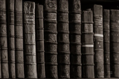 Trinity II BW by Nathan Larson. SKU 101215i. Archival Giclee Fine art print for wall decor.