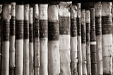 Trinity III BW by Nathan Larson. SKU 101217i. Archival Giclee Fine art print for wall decor.