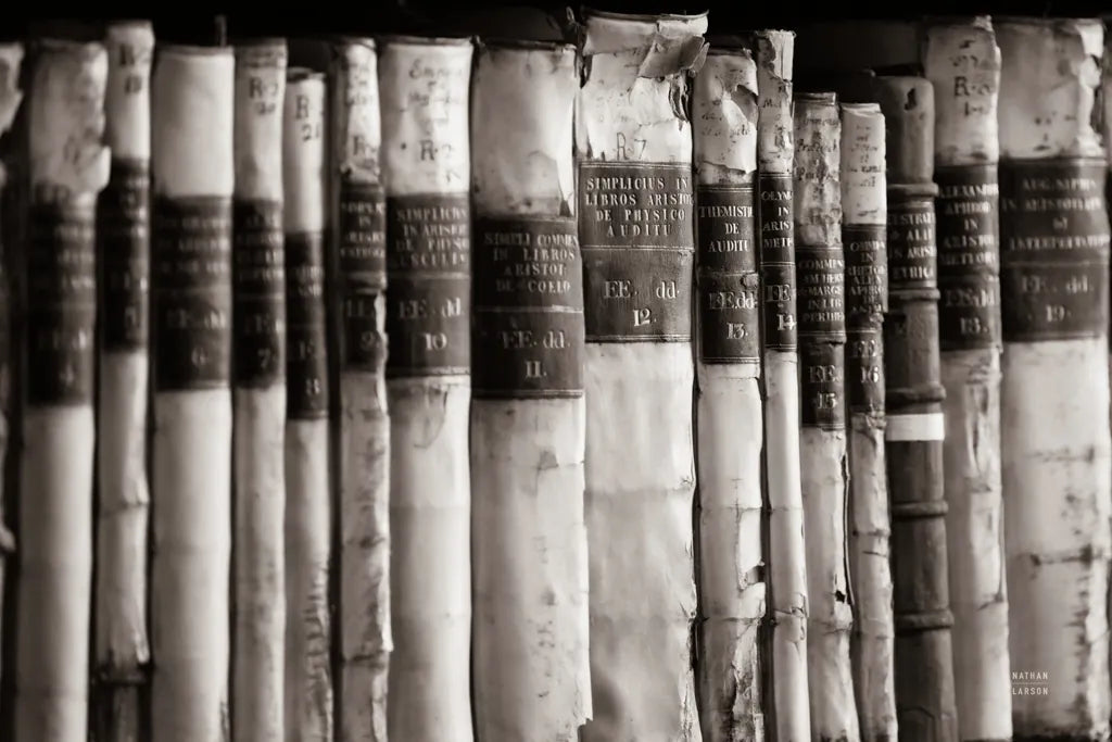 Trinity III BW by Nathan Larson. SKU 101217i. Archival Giclee Fine art print for wall decor.