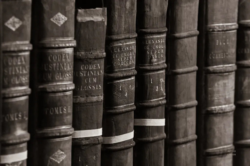 Trinity IV BW by Nathan Larson. SKU 101219i. Archival Giclee Fine art print for wall decor.