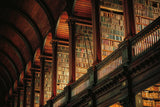 Trinity Library Design by Nathan Larson. SKU 103687i. Archival Giclee Fine art print for wall decor.
