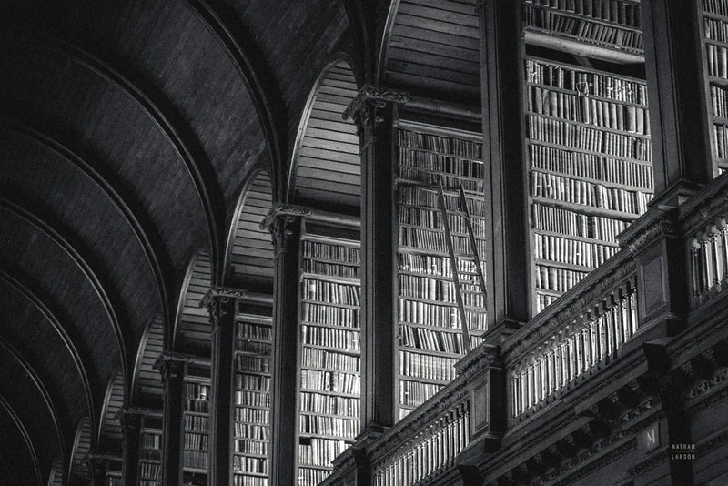 Trinity Library Design BW by Nathan Larson. SKU 103688i. Archival Giclee Fine art print for wall decor.