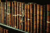 Trinity Library I by Nathan Larson. SKU 103685i. Archival Giclee Fine art print for wall decor.