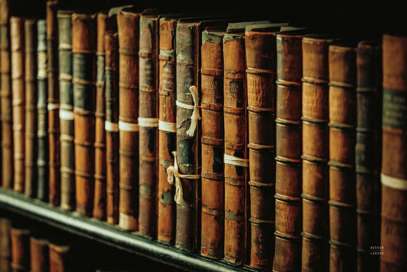 Trinity Library I by Nathan Larson. SKU 103685i. Archival Giclee Fine art print for wall decor.