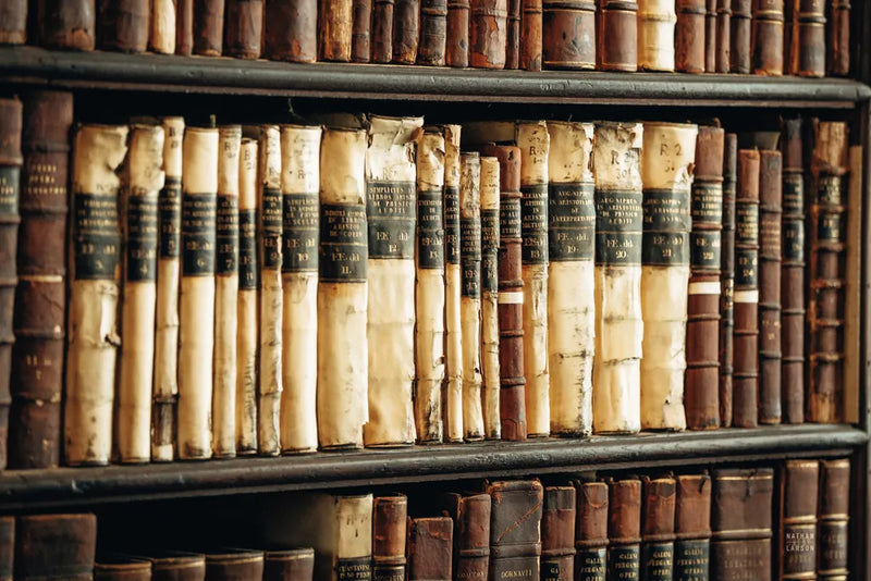 Trinity Library II by Nathan Larson. SKU 103686i. Archival Giclee Fine art print for wall decor.