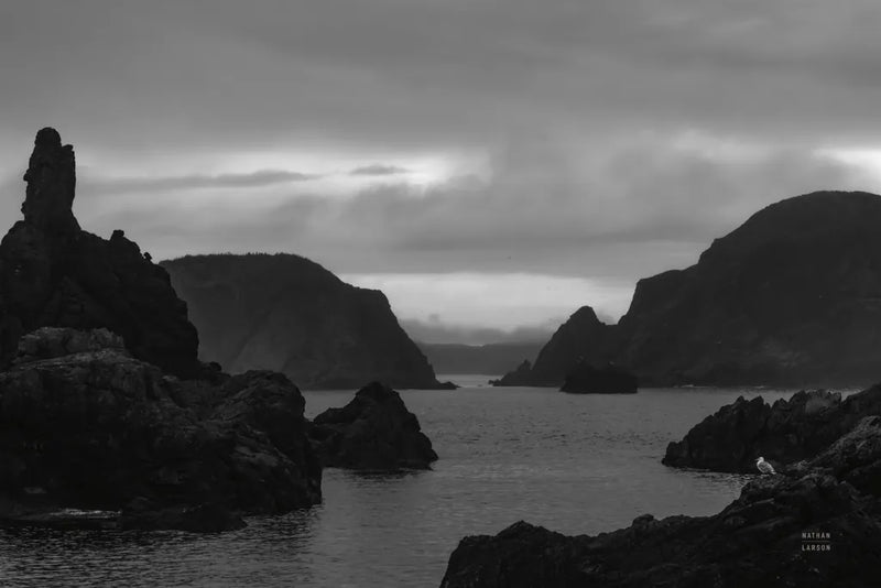 Twillingate Coast BW by Nathan Larson. SKU 103184i. Archival Giclee Fine art print for wall decor.