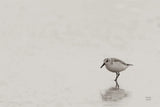 Tybee Island Sanderling by Nathan Larson. SKU 97447i. Archival Giclee Fine art print for wall decor.