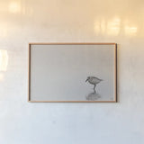 Tybee Island Sanderling by Nathan Larson. shown as a paper print in a natural frame. Available as a archival giclee rolled canvas, fine art paper, or poster print. SKU 97447i.