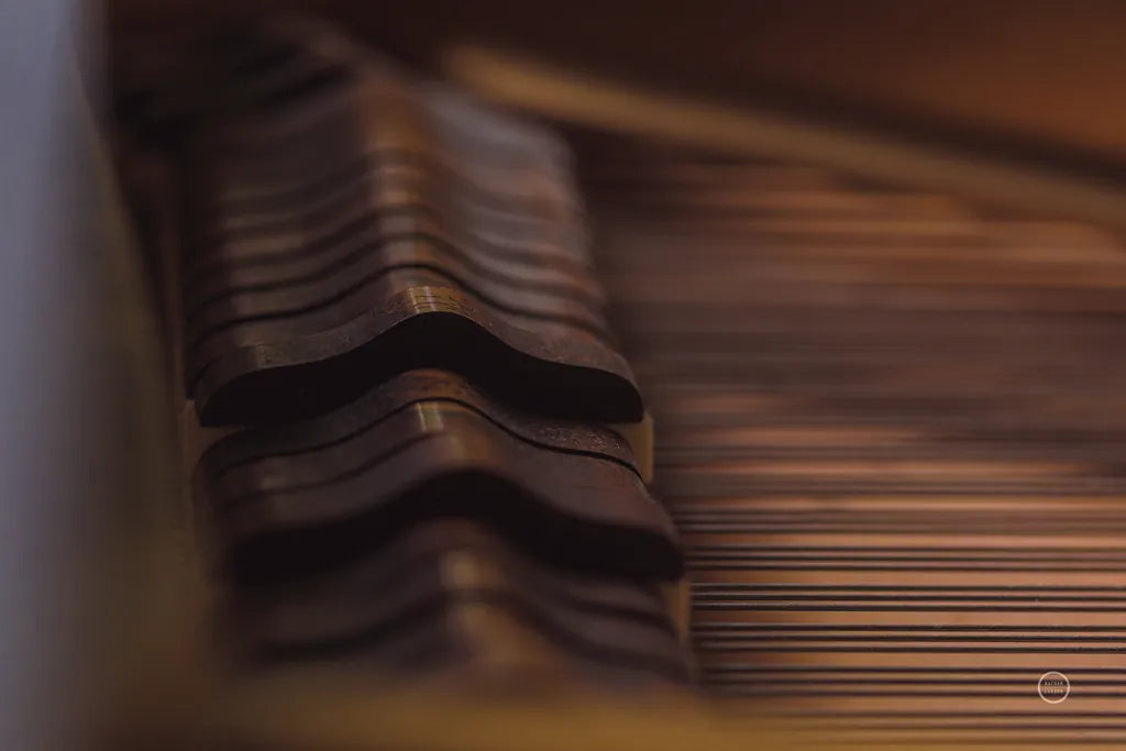 Under the Hood by Nathan Larson. SKU 76316i. Archival Giclee Fine art print for wall decor.