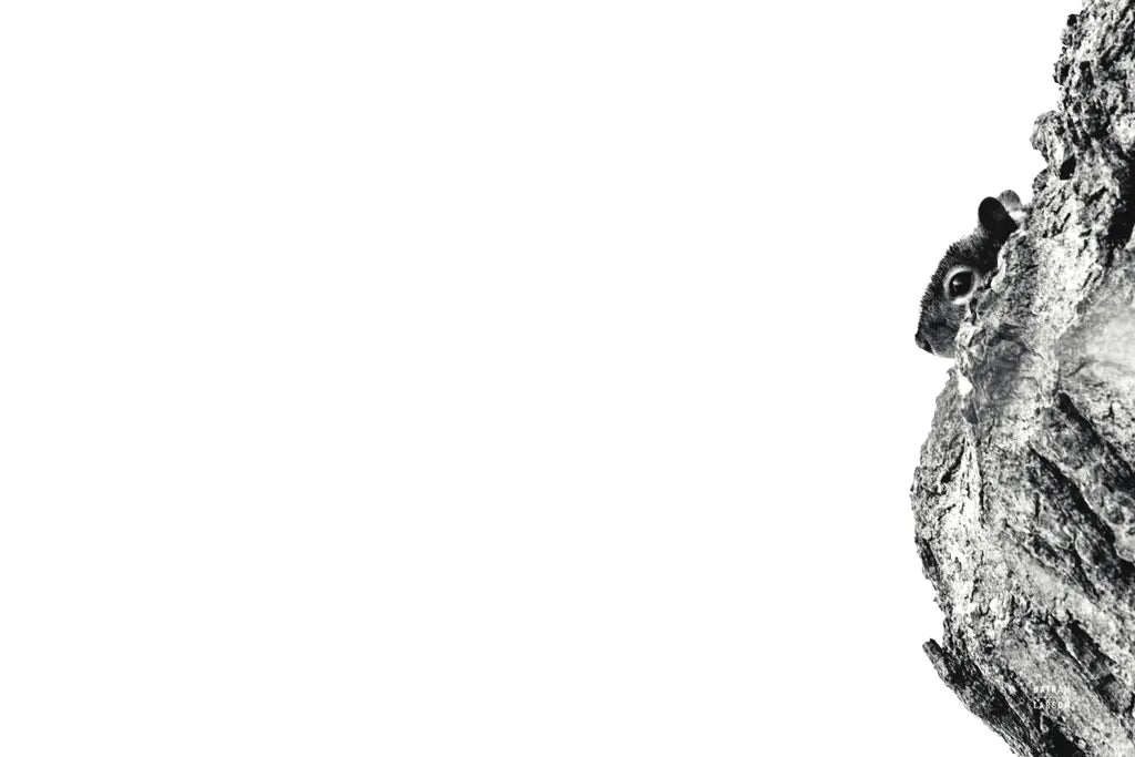 Undercover by Nathan Larson. SKU 84248i. Archival Giclee Fine art print for wall decor.