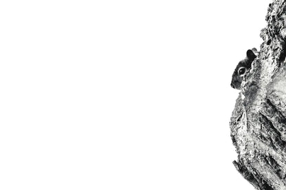 Undercover by Nathan Larson. SKU 84248i. Archival Giclee Fine art print for wall decor.