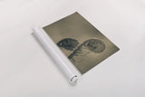 Unfurled I by Nathan Larson. shown as a rolled paper print. Available as archival giclee rolled canvas, fine art paper, or poster print. SKU 79331i.