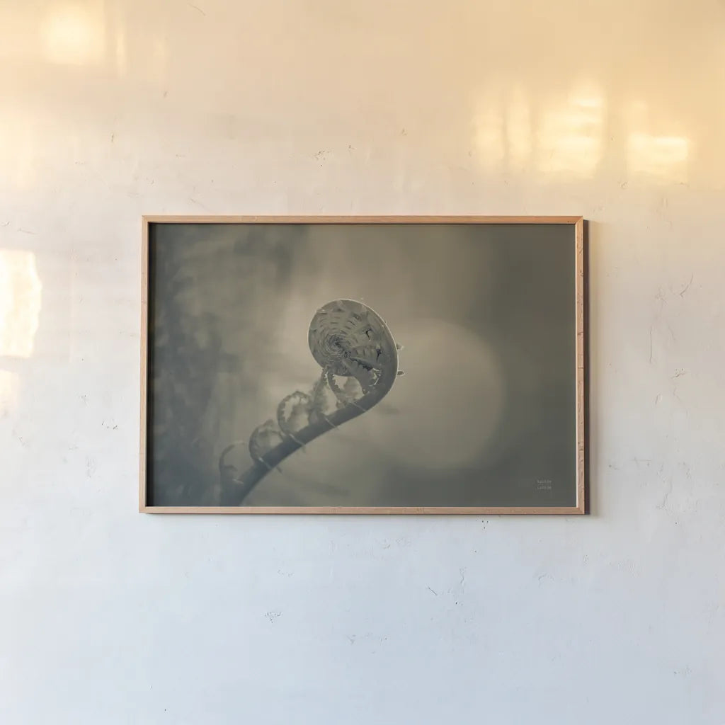 Unfurled II by Nathan Larson. shown as a paper print in a natural frame. Available as a archival giclee rolled canvas, fine art paper, or poster print. SKU 79332i.