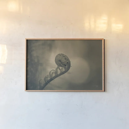 Unfurled II by Nathan Larson. shown as a paper print in a natural frame. Available as a archival giclee rolled canvas, fine art paper, or poster print. SKU 79332i.