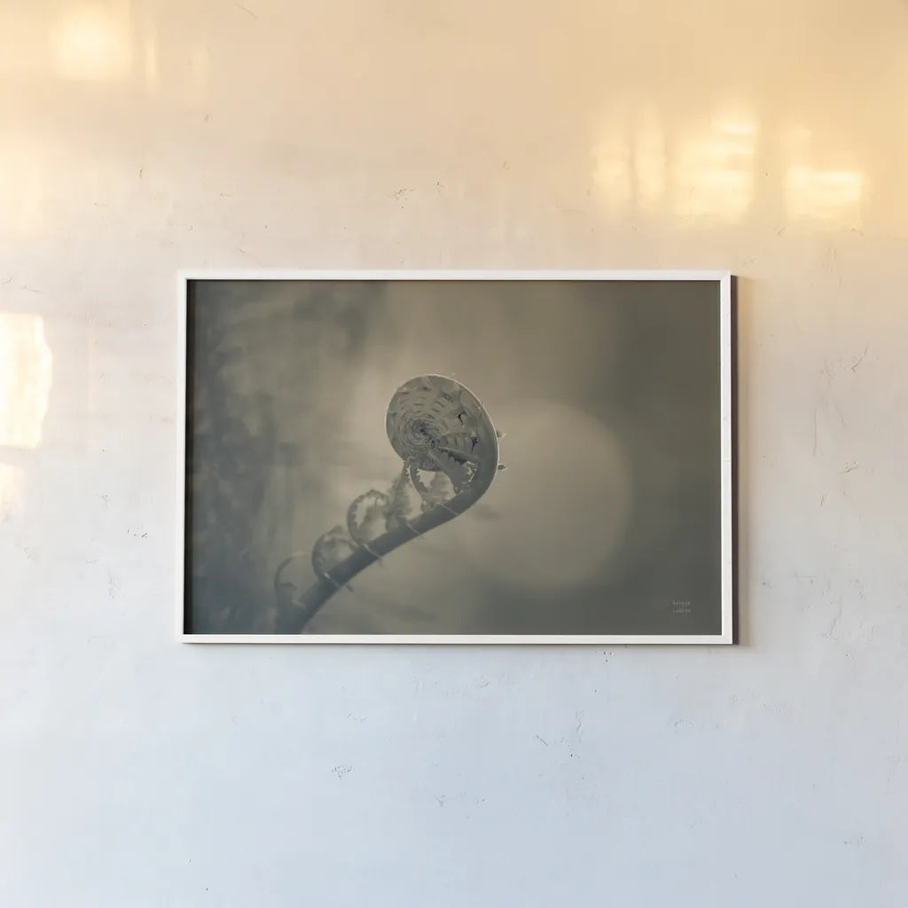 Unfurled II by Nathan Larson. shown as a paper print in a white frame. Available as a archival giclee rolled canvas, fine art paper, or poster print. SKU 79332i.
