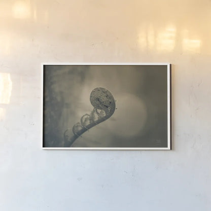 Unfurled II by Nathan Larson. shown as a paper print in a white frame. Available as a archival giclee rolled canvas, fine art paper, or poster print. SKU 79332i.