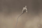 Upcoming Release by Nathan Larson. SKU 82422i. Archival Giclee Fine art print for wall decor.