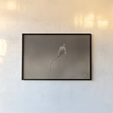 Upcoming Release by Nathan Larson. shown as a paper print in a black flame. Available as a archival giclee rolled canvas, fine art paper, or poster print. SKU 82422i.