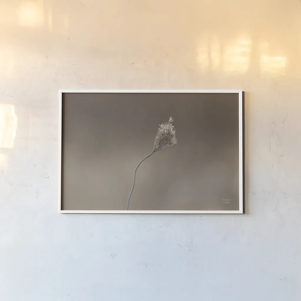 Upcoming Release by Nathan Larson. shown as a paper print in a white frame. Available as a archival giclee rolled canvas, fine art paper, or poster print. SKU 82422i.