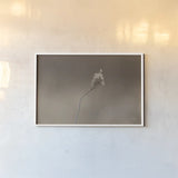 Upcoming Release by Nathan Larson. shown as a paper print in a white frame. Available as a archival giclee rolled canvas, fine art paper, or poster print. SKU 82422i.