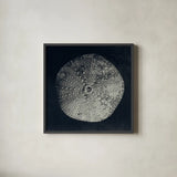 Urchin Still Life III by Nathan Larson. Shown in a sleek black glass frame for a contemporary gallery look. Available as an archival giclee rolled canvas, fine art paper, or poster print. SKU 97312a.