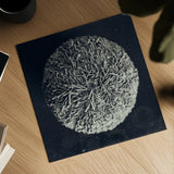 Urchin Still Life IV by Nathan Larson. Shown as a detailed flat fine art print, highlighting archival giclee quality. Available as an archival giclee rolled canvas, fine art paper, or poster print. SKU 97313a.