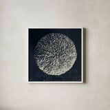 Urchin Still Life IV by Nathan Larson. Shown in a crisp white glass frame for a clean and minimalist style. Available as an archival giclee rolled canvas, fine art paper, or poster print. SKU 97313a.