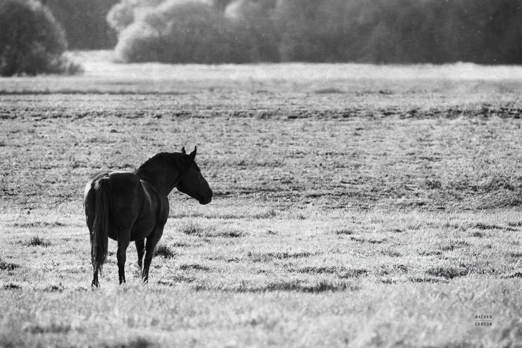 Waiting by Nathan Larson. SKU 99370i. Archival Giclee Fine art print for wall decor.