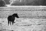 Waiting by Nathan Larson. SKU 99370i. Archival Giclee Fine art print for wall decor.