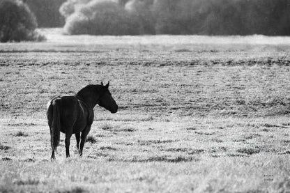 Waiting by Nathan Larson. SKU 99370i. Archival Giclee Fine art print for wall decor.