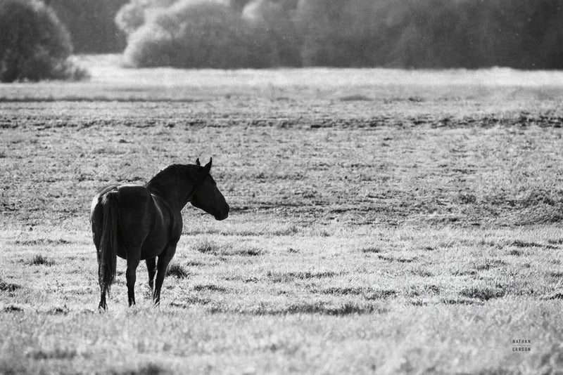 Waiting by Nathan Larson. SKU 99370i. Archival Giclee Fine art print for wall decor.