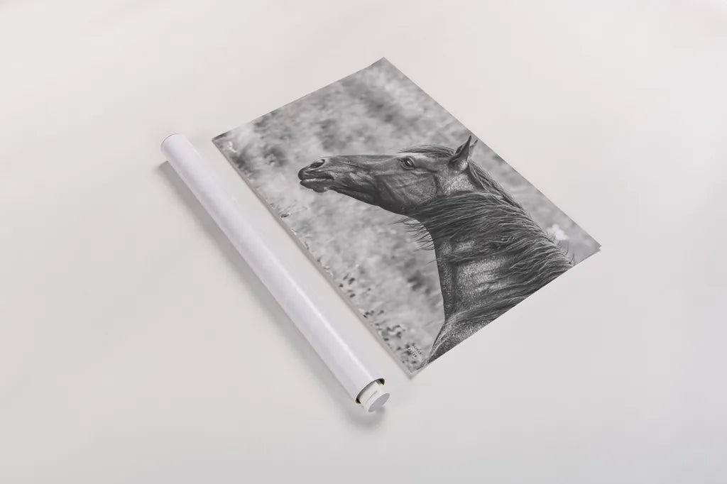 Watchful BW by Nathan Larson. shown as a rolled paper print. Available as archival giclee rolled canvas, fine art paper, or poster print. SKU 99203i.