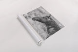 Watchful BW by Nathan Larson. shown as a rolled paper print. Available as archival giclee rolled canvas, fine art paper, or poster print. SKU 99203i.