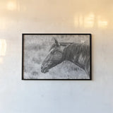 Watchful BW by Nathan Larson. shown as a paper print in a black flame. Available as a archival giclee rolled canvas, fine art paper, or poster print. SKU 99203i.