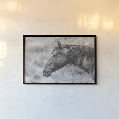 Watchful BW by Nathan Larson. shown as a paper print in a black flame. Available as a archival giclee rolled canvas, fine art paper, or poster print. SKU 99203i.