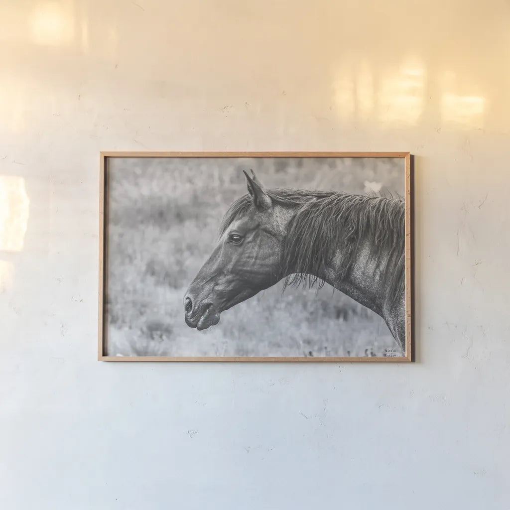 Watchful BW by Nathan Larson. shown as a paper print in a natural frame. Available as a archival giclee rolled canvas, fine art paper, or poster print. SKU 99203i.