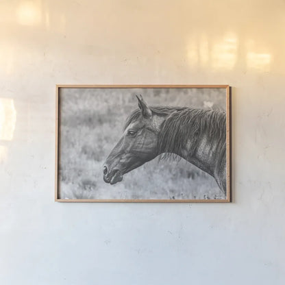 Watchful BW by Nathan Larson. shown as a paper print in a natural frame. Available as a archival giclee rolled canvas, fine art paper, or poster print. SKU 99203i.