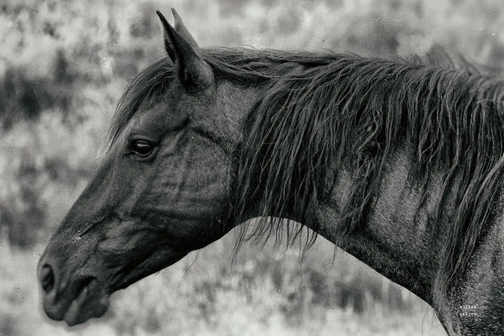 Watchful Dream by Nathan Larson. SKU 99204i. Archival Giclee Fine art print for wall decor.