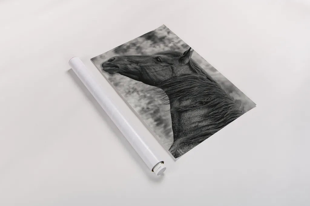 Watchful Dream by Nathan Larson. shown as a rolled paper print. Available as archival giclee rolled canvas, fine art paper, or poster print. SKU 99204i.