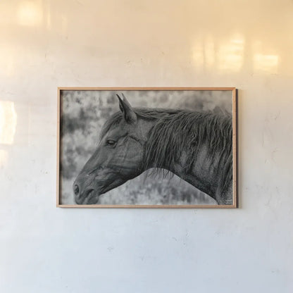 Watchful Dream by Nathan Larson. shown as a paper print in a natural frame. Available as a archival giclee rolled canvas, fine art paper, or poster print. SKU 99204i.