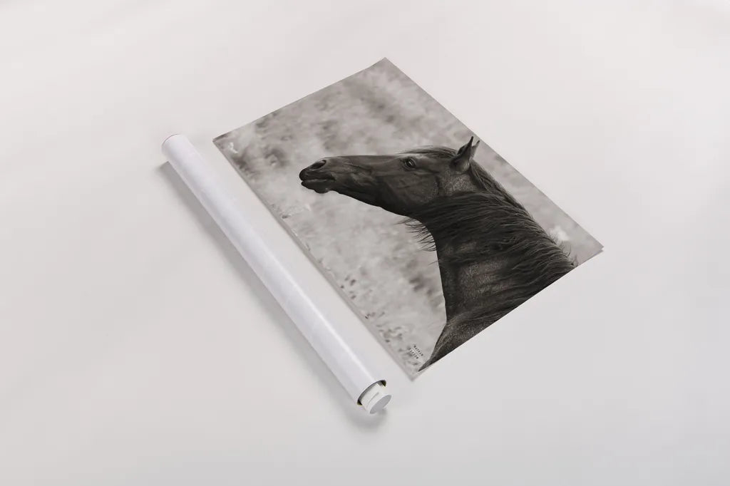 Watchful Sepia by Nathan Larson. shown as a rolled paper print. Available as archival giclee rolled canvas, fine art paper, or poster print. SKU 99202i.