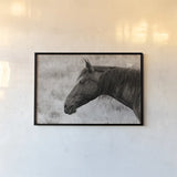 Watchful Sepia by Nathan Larson. shown as a paper print in a black flame. Available as a archival giclee rolled canvas, fine art paper, or poster print. SKU 99202i.