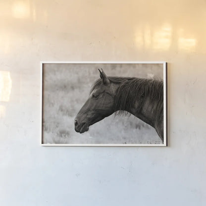Watchful Sepia by Nathan Larson. shown as a paper print in a white frame. Available as a archival giclee rolled canvas, fine art paper, or poster print. SKU 99202i.